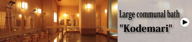 Large communal bath 