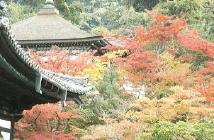 Kodai-ji Temple