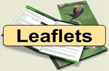 Leaflets