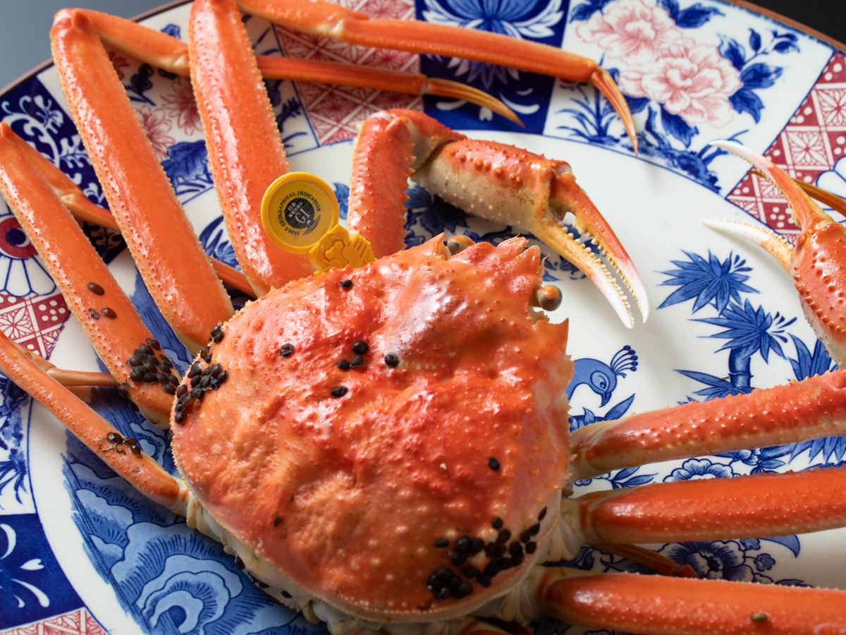 【冬の味覚】越前がにはお客様のご予算に応じてご用意!冬の味覚の王様「越前がに」を楽しむプラン